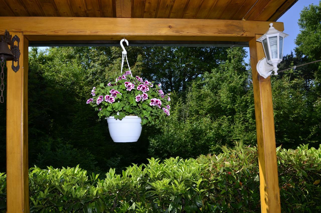 Apartment Blumen Oase مالينسكا المظهر الخارجي الصورة