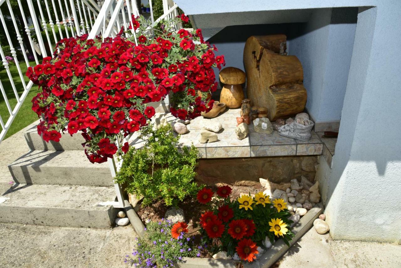 Apartment Blumen Oase مالينسكا المظهر الخارجي الصورة