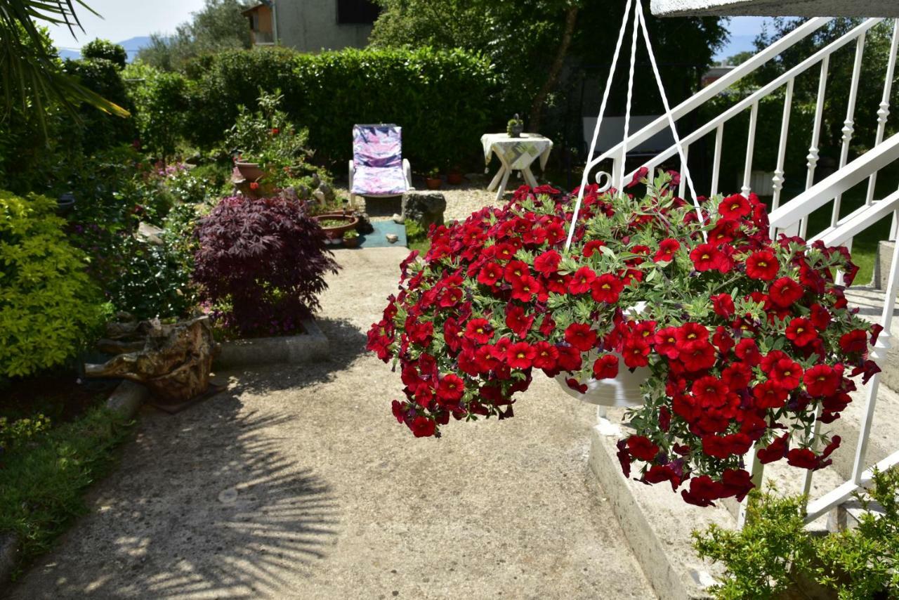 Apartment Blumen Oase مالينسكا المظهر الخارجي الصورة